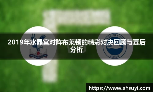 2019年水晶宫对阵布莱顿的精彩对决回顾与赛后分析